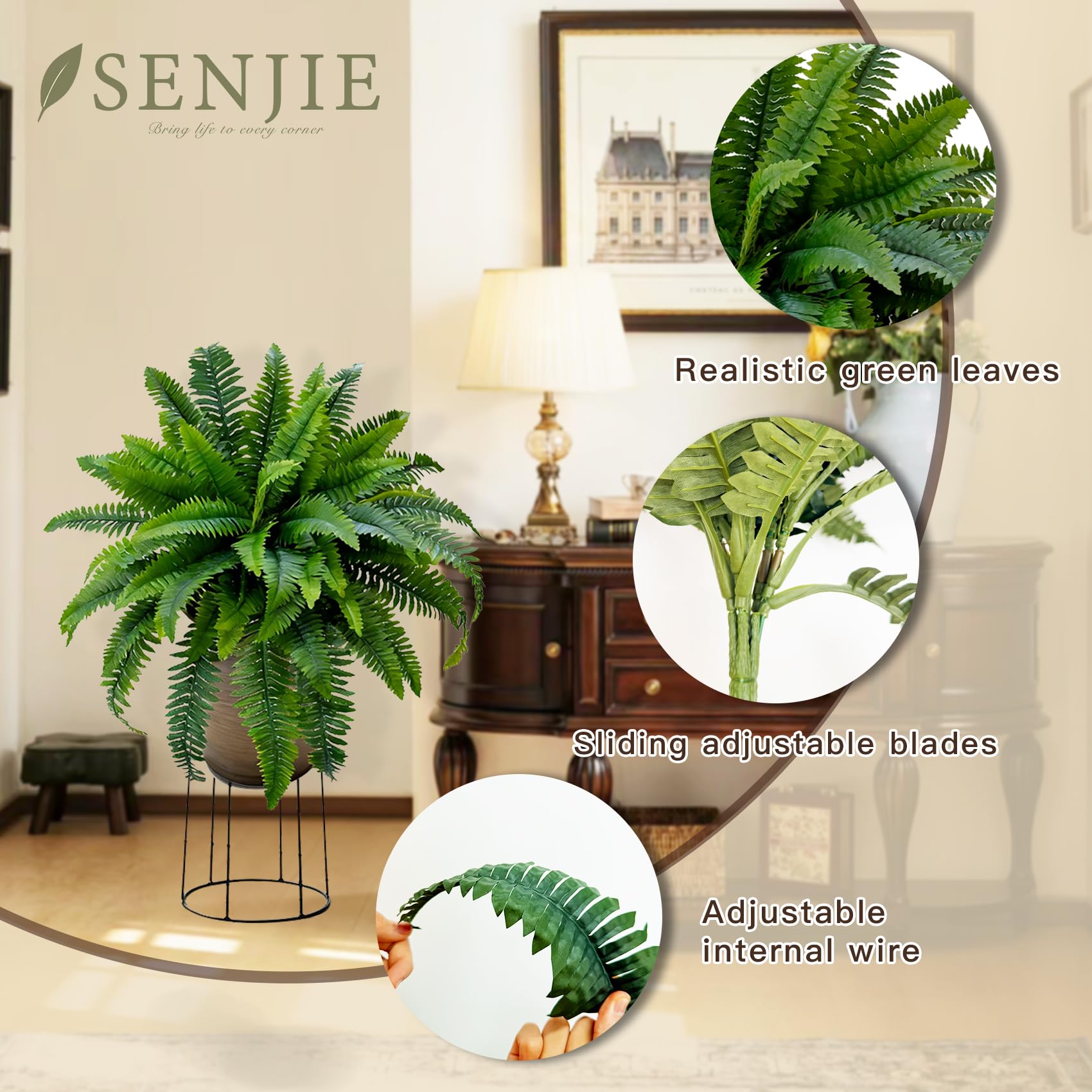 Senjie fern on a porch scene conveying low-maintenance greenery and curb appeal