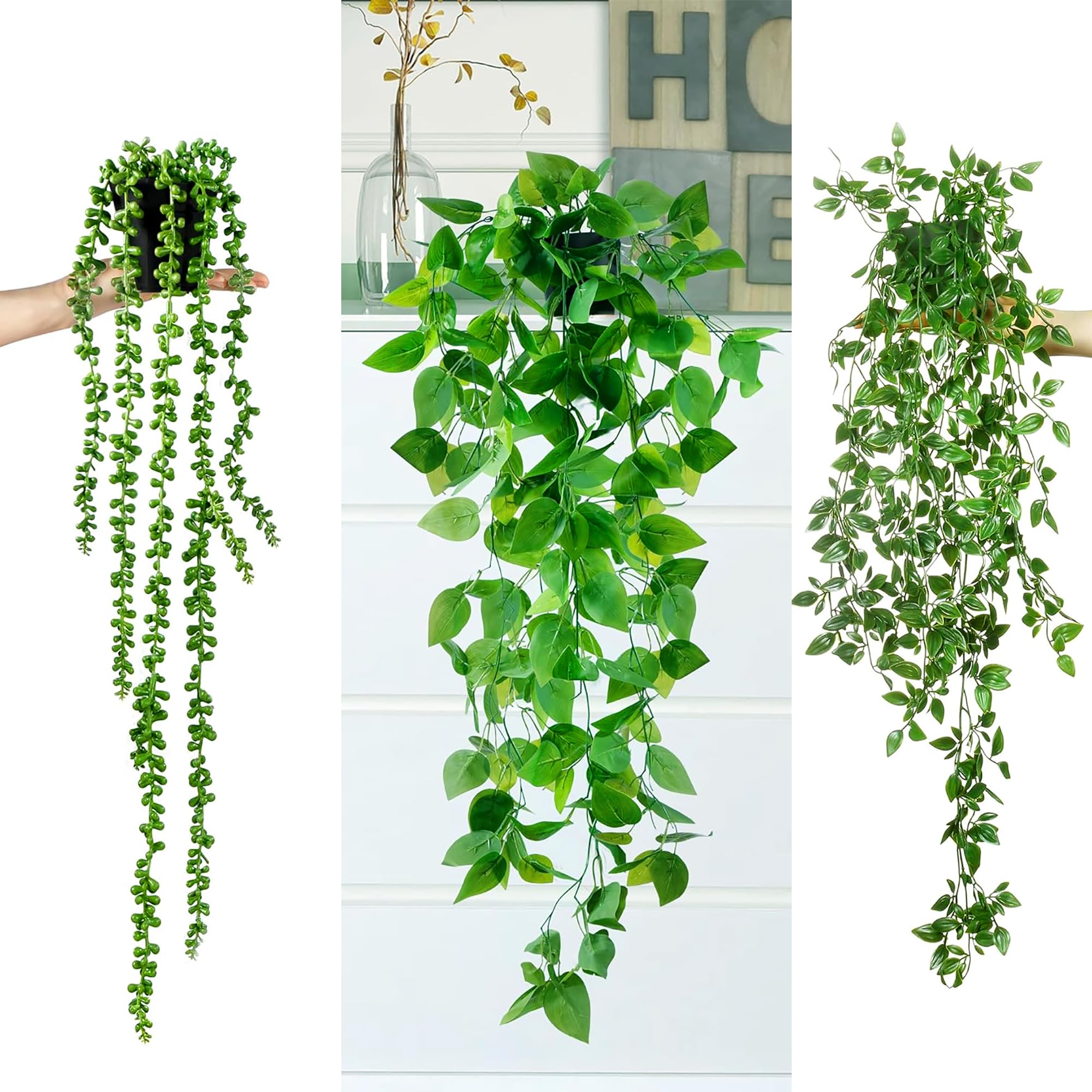 Sggvecsy Boston fern on shelf creates lush greenery without upkeep