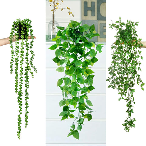 Sggvecsy Boston fern on shelf creates lush greenery without upkeep