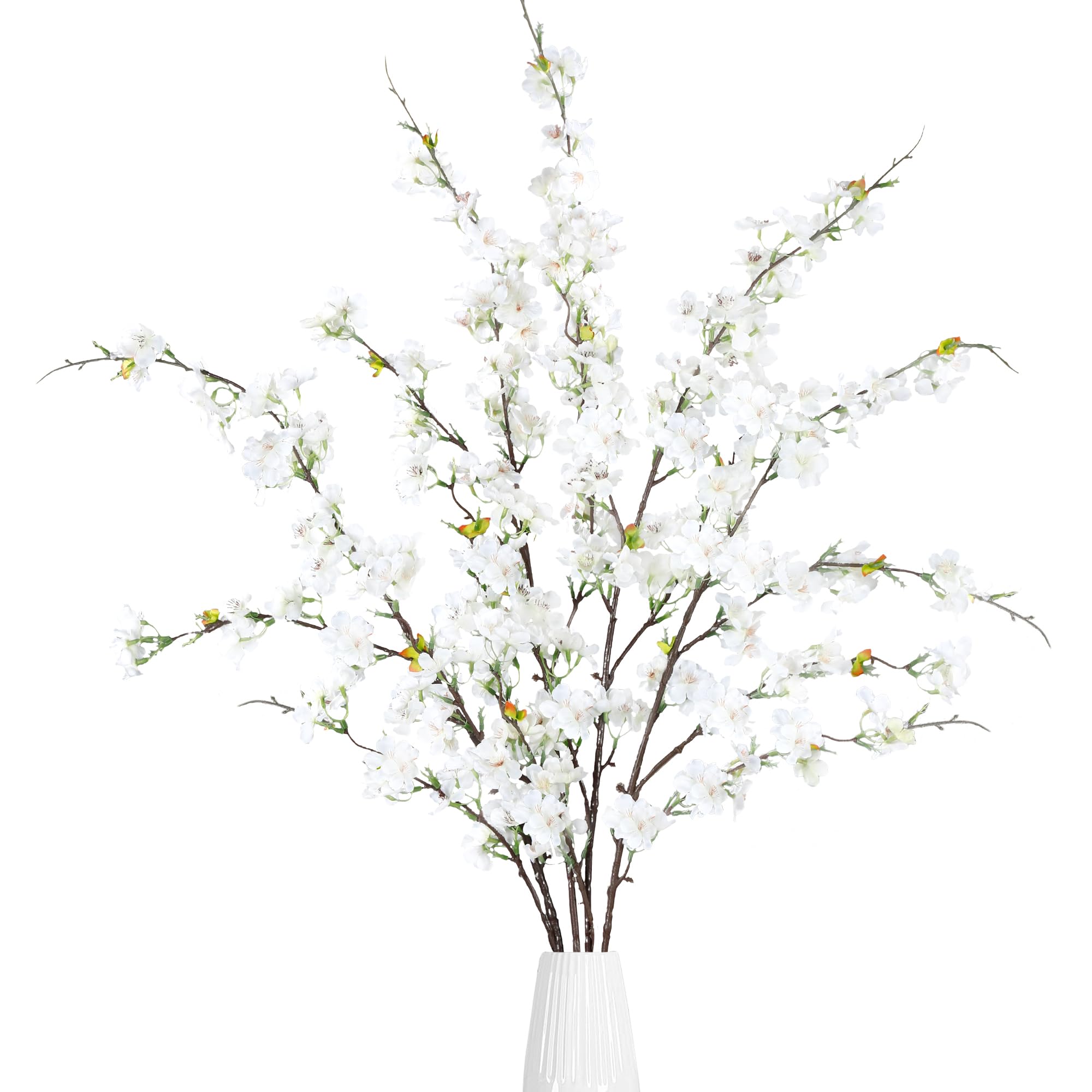 Sggvecsy front view of four white cherry blossom stems showing full bloom benefit