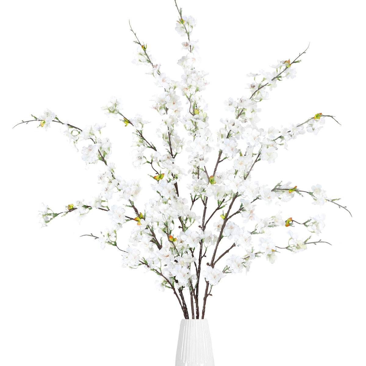 Sggvecsy front view of four white cherry blossom stems showing full bloom benefit