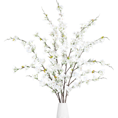 Sggvecsy front view of four white cherry blossom stems showing full bloom benefit