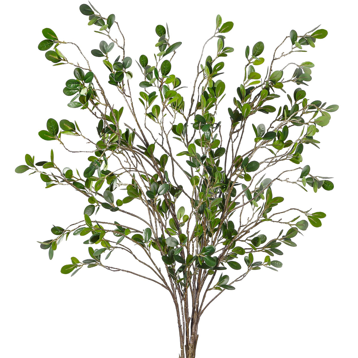 Sggvecsy front view of five-pack faux ficus branches showing full set and benefit: instant greenery