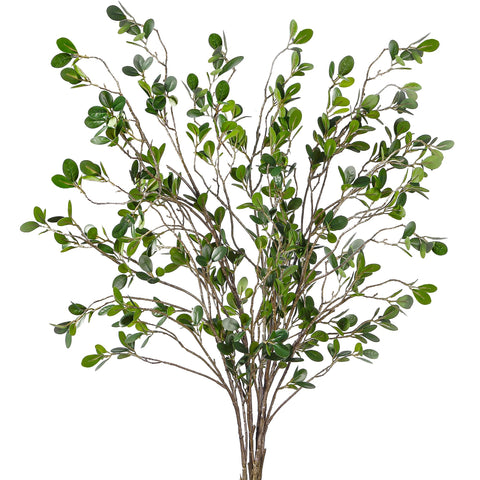 Sggvecsy front view of five-pack faux ficus branches showing full set and benefit: instant greenery