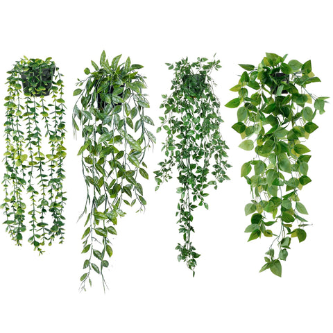 Sggvecsy front view of four potted hanging plants adds instant greenery