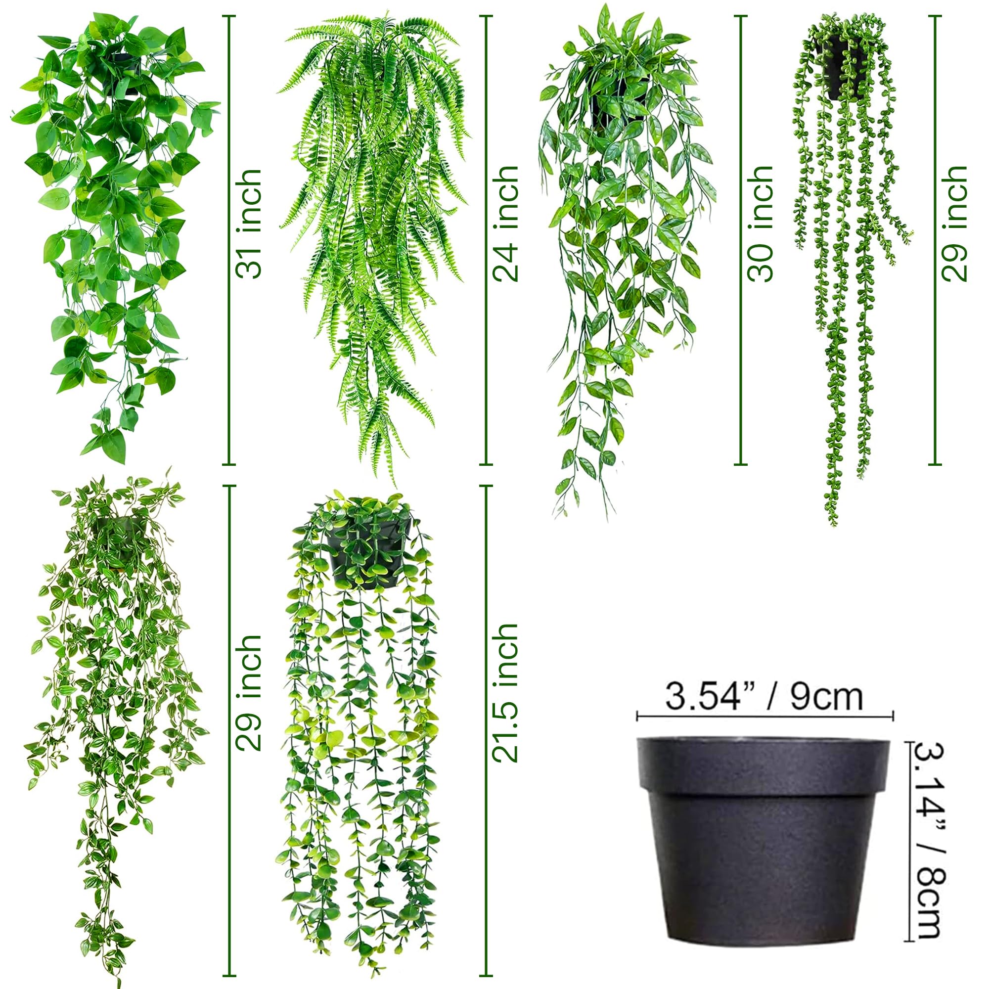 Sggvecsy ivy length comparison shows trailing reach for vertical spaces