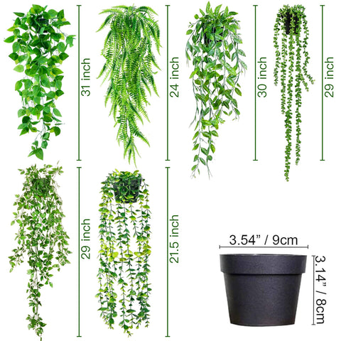 Sggvecsy ivy length comparison shows trailing reach for vertical spaces