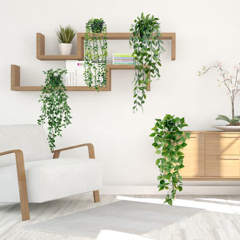 Sggvecsy in living room hanging display creates low-maintenance warmth