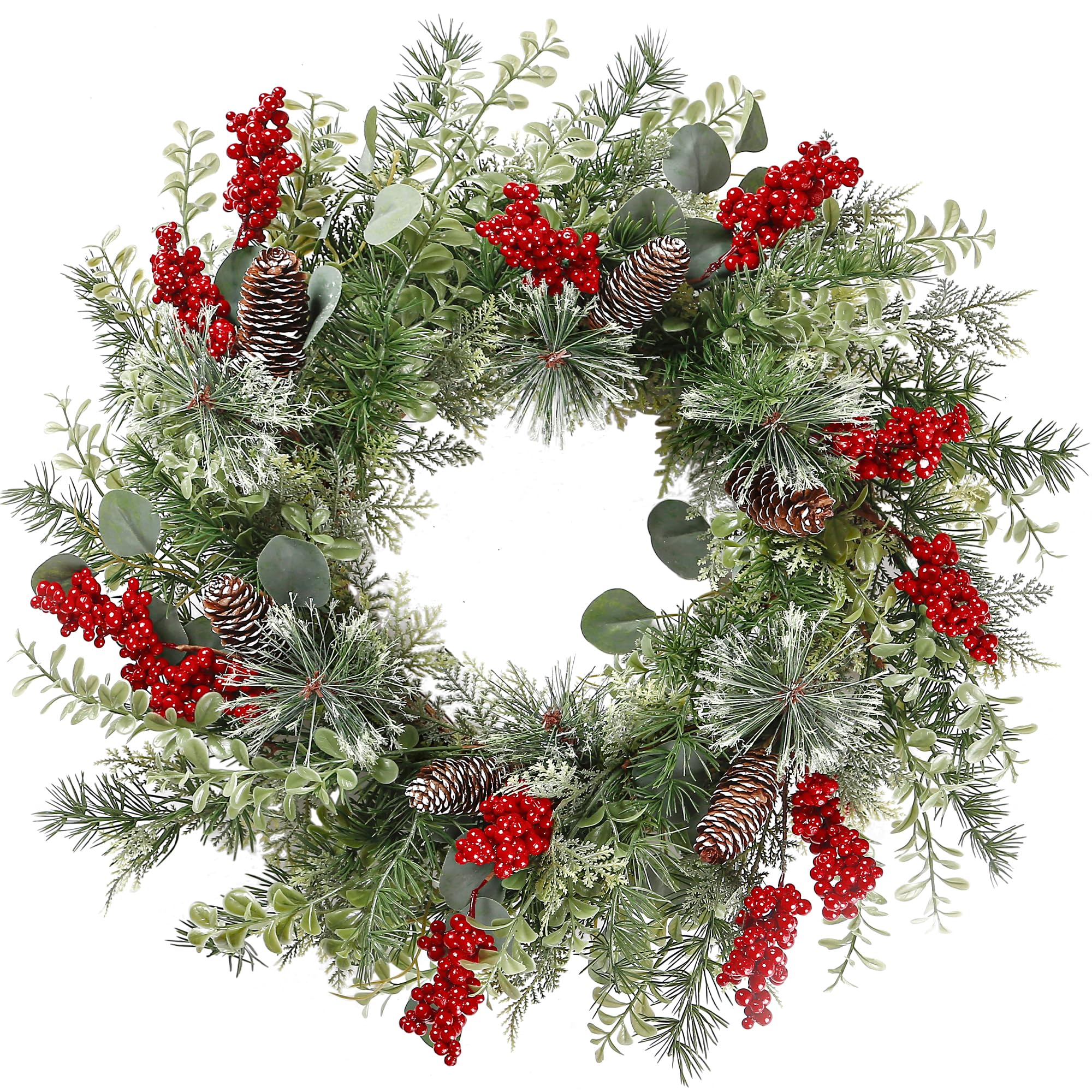 Sggvecsy wreath front on door showing welcoming holiday curb appeal