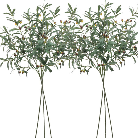 SHACOS front view of six long olive branches showcasing full set and height benefit