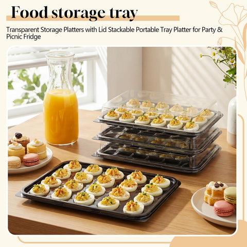Shellwei tray held in hand to show size and portability for transport