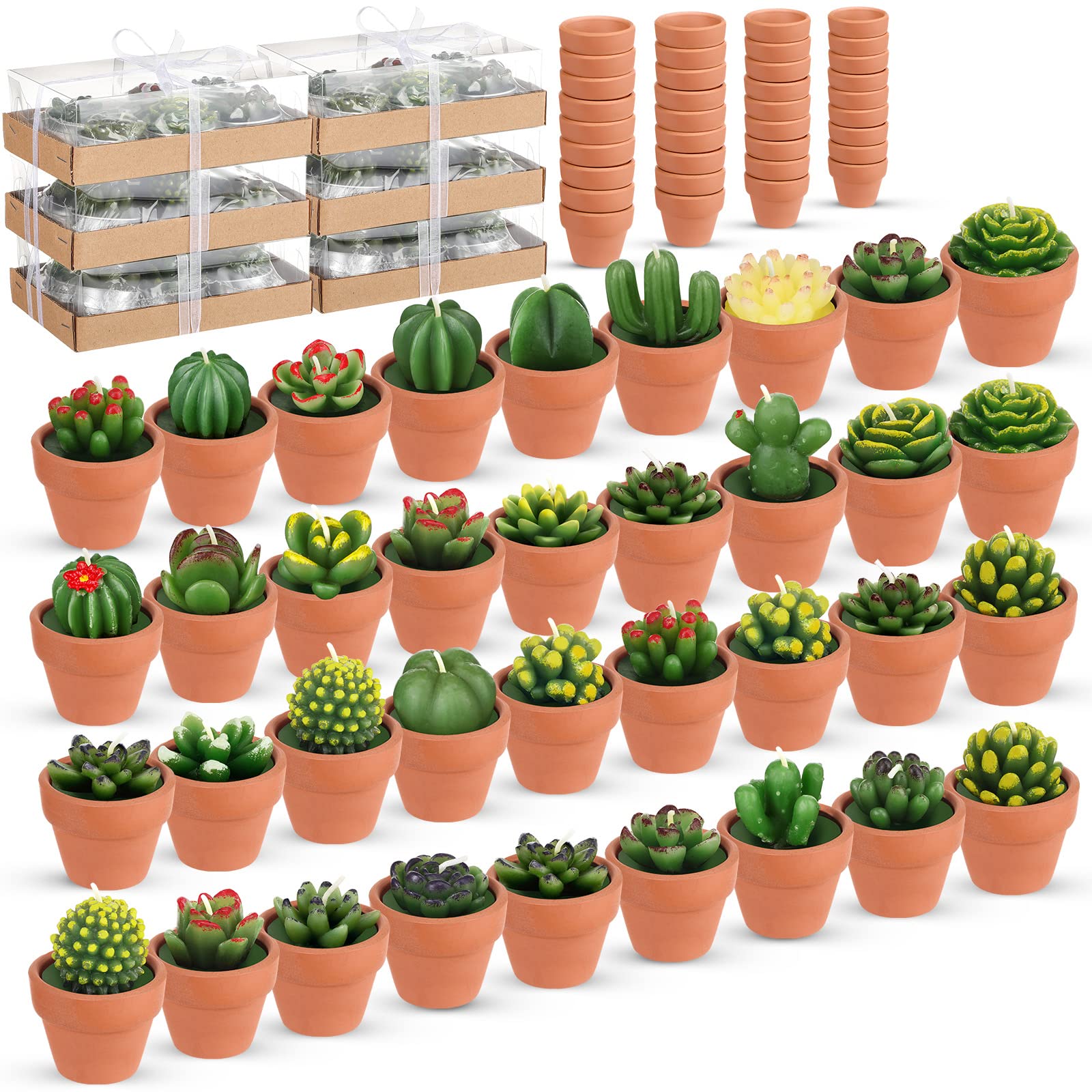 Shihanee front packaging showing 36 succulent tealight candles and terracotta pots for instant decor