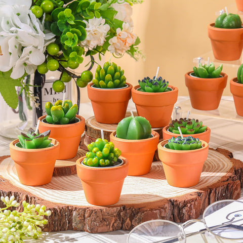 Shihanee hand holding a mini succulent tealight to show scale and easy placement