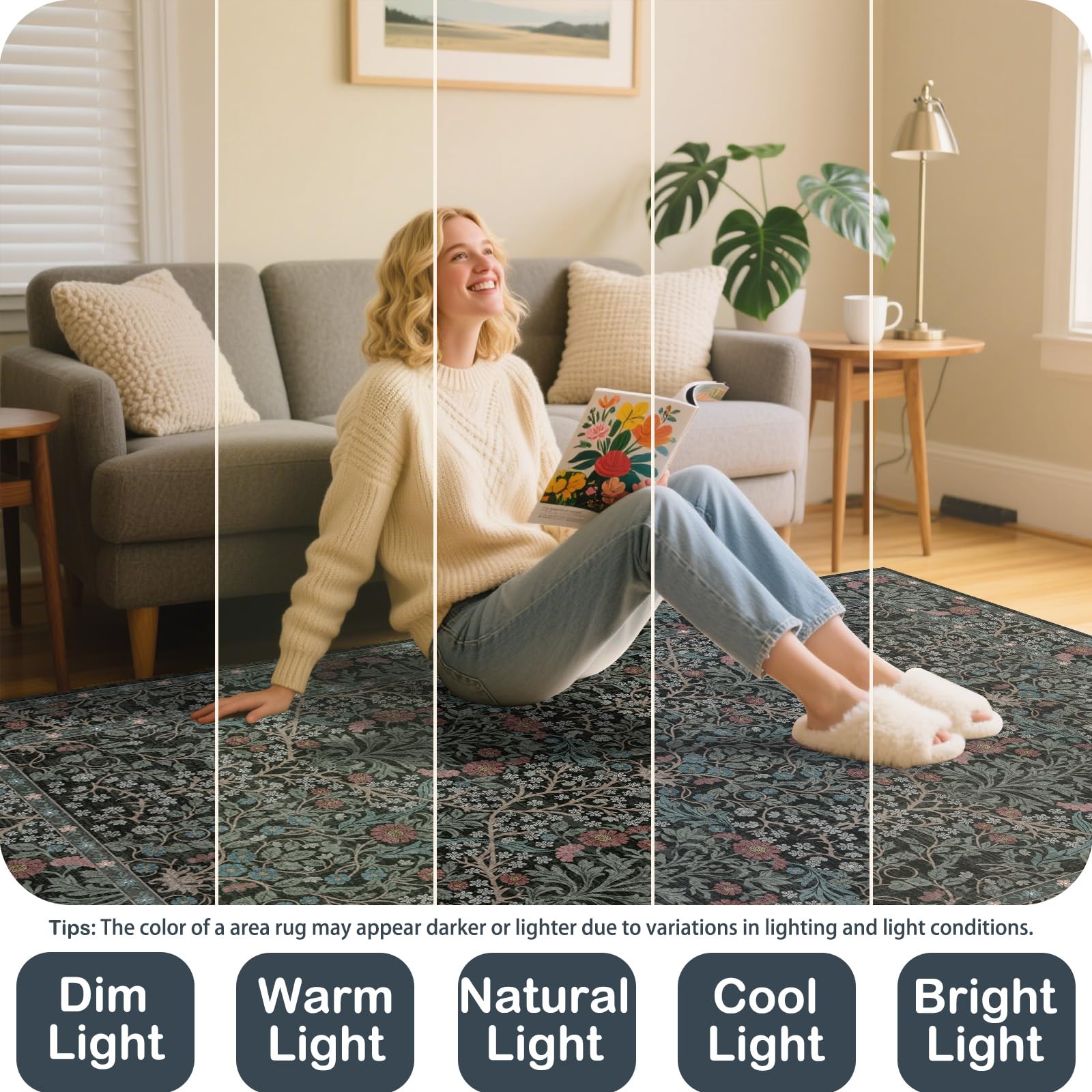 shinefly scale comparison beside sofa shows true 8x10 size and spatial fit