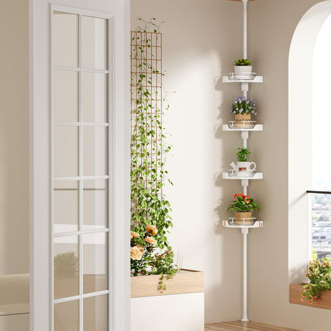 shuang qing kitchen corner storage showing versatile multi-room use