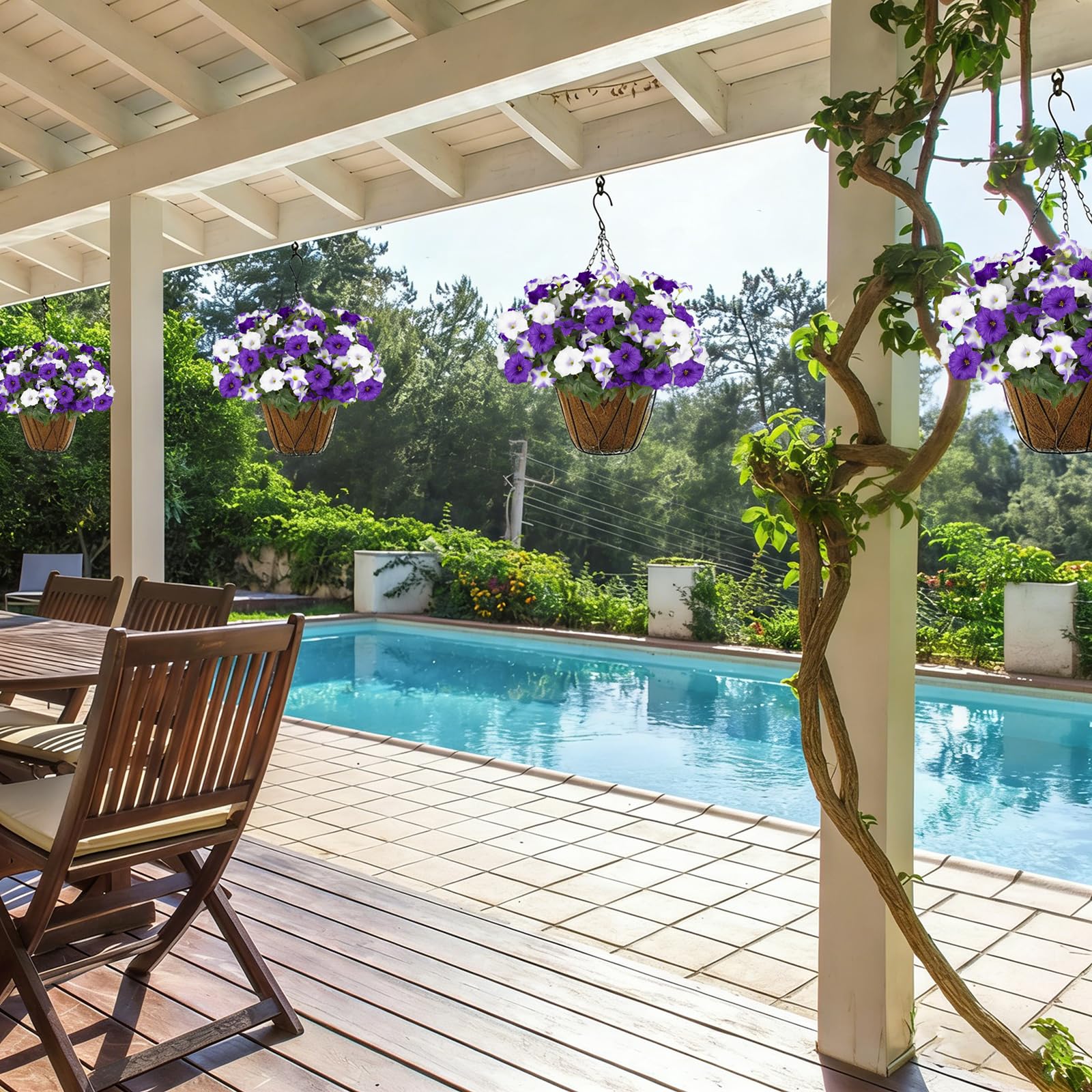 SIECCY arranged in a hanging basket illustrating weather-resistant outdoor use