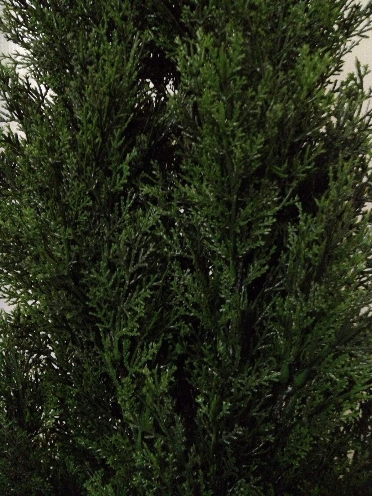 Silk Tree Warehouse close-up of cedar foliage texture highlighting realistic leaf detail