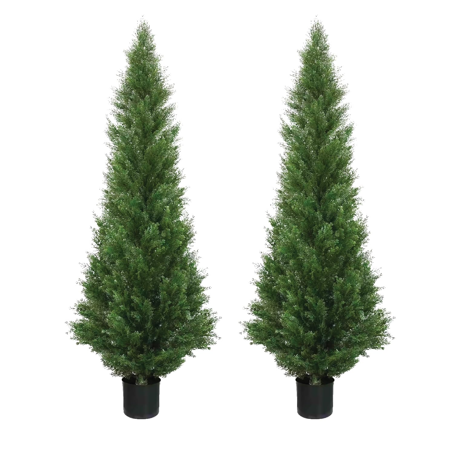Silk Tree Warehouse cedar topiary front view showing symmetrical pair and entrance impact