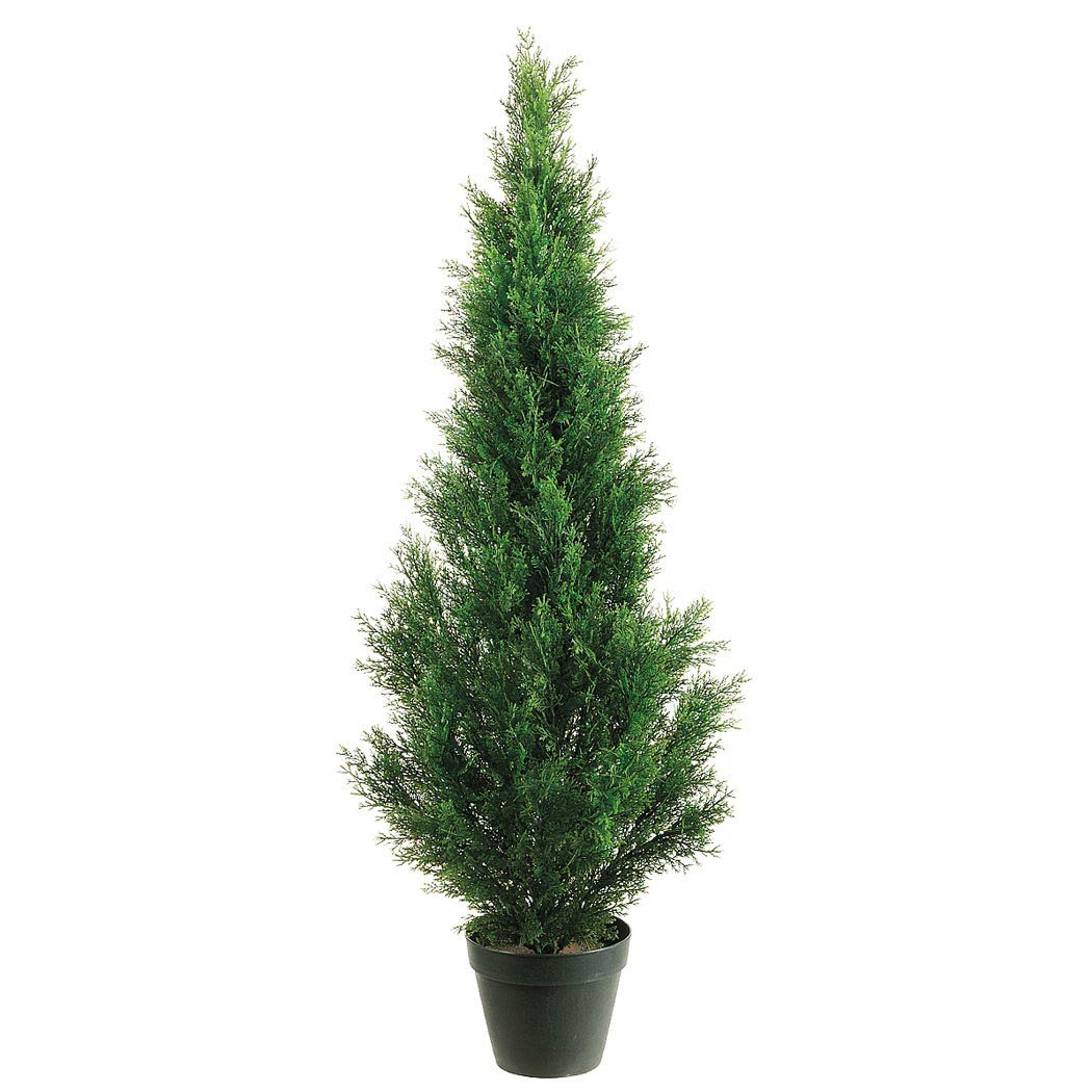 Silk Tree Warehouse cedar topiary front view showing lifelike shape and curb appeal