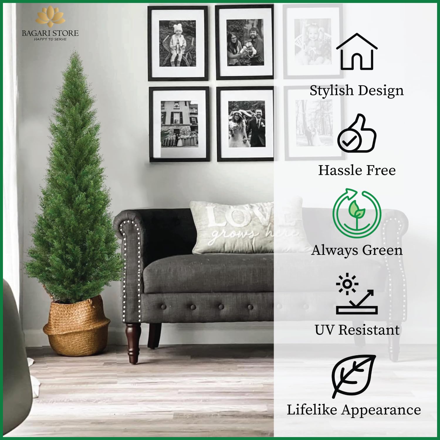 Silk Tree Warehouse cedar beside chair for scale demonstrating compact four-foot height