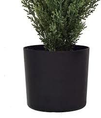 Silk Tree Warehouse cedar topiary beside chair showing true size and space fit
