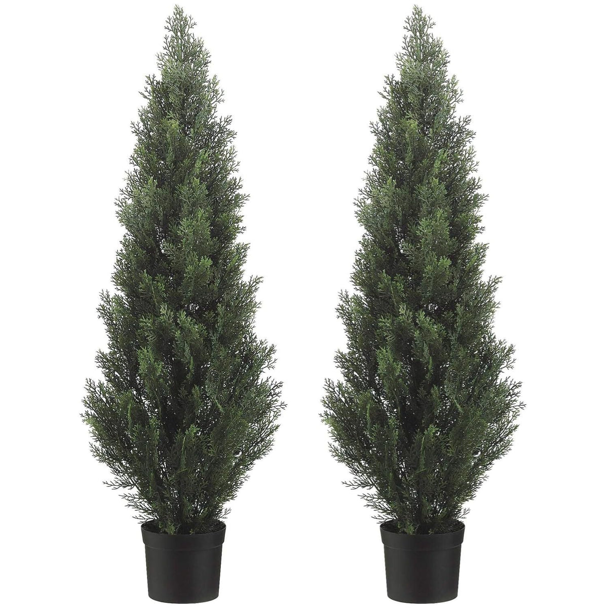 Silk Tree Warehouse front view of two potted cedar topiary trees, instant curb appeal