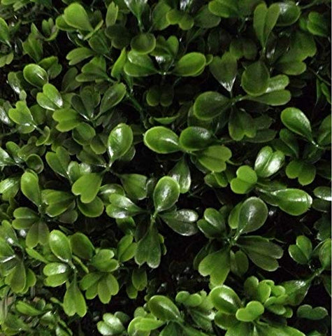 Silk Tree Warehouse close-up of UV-rated boxwood foliage highlighting realistic texture and durability