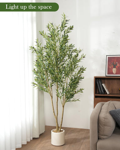 Sillaff olive tree close leaf detail highlighting realistic texture and natural color