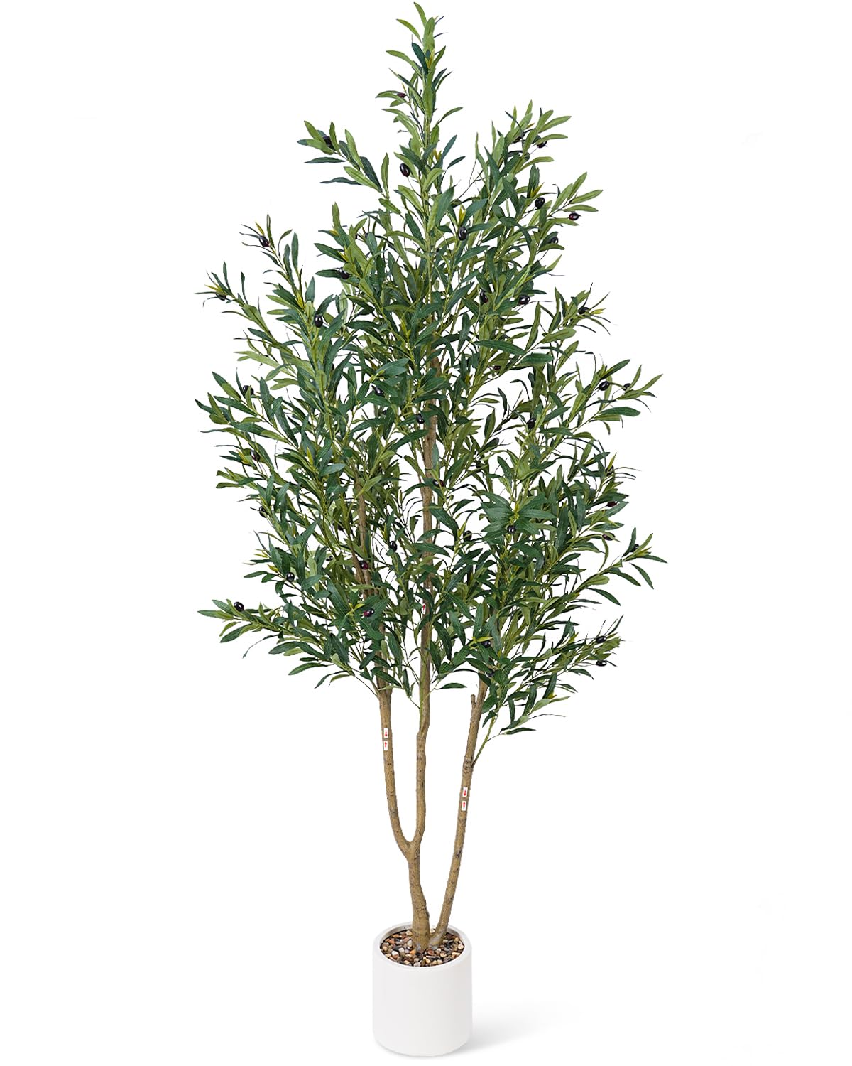 Sillaff olive tree front view showing lifelike leaves and full shape for instant decor