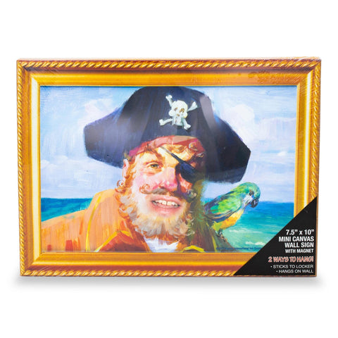 Silver Buffalo Captain Painty styled in room for cheerful fan-themed atmosphere