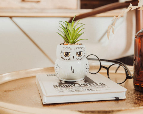Silver Buffalo Hedwig planter staged on desk, brings magical decor to workspaces