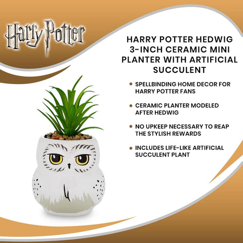 Silver Buffalo Hedwig planter boxed with label, convenient gift-ready presentation