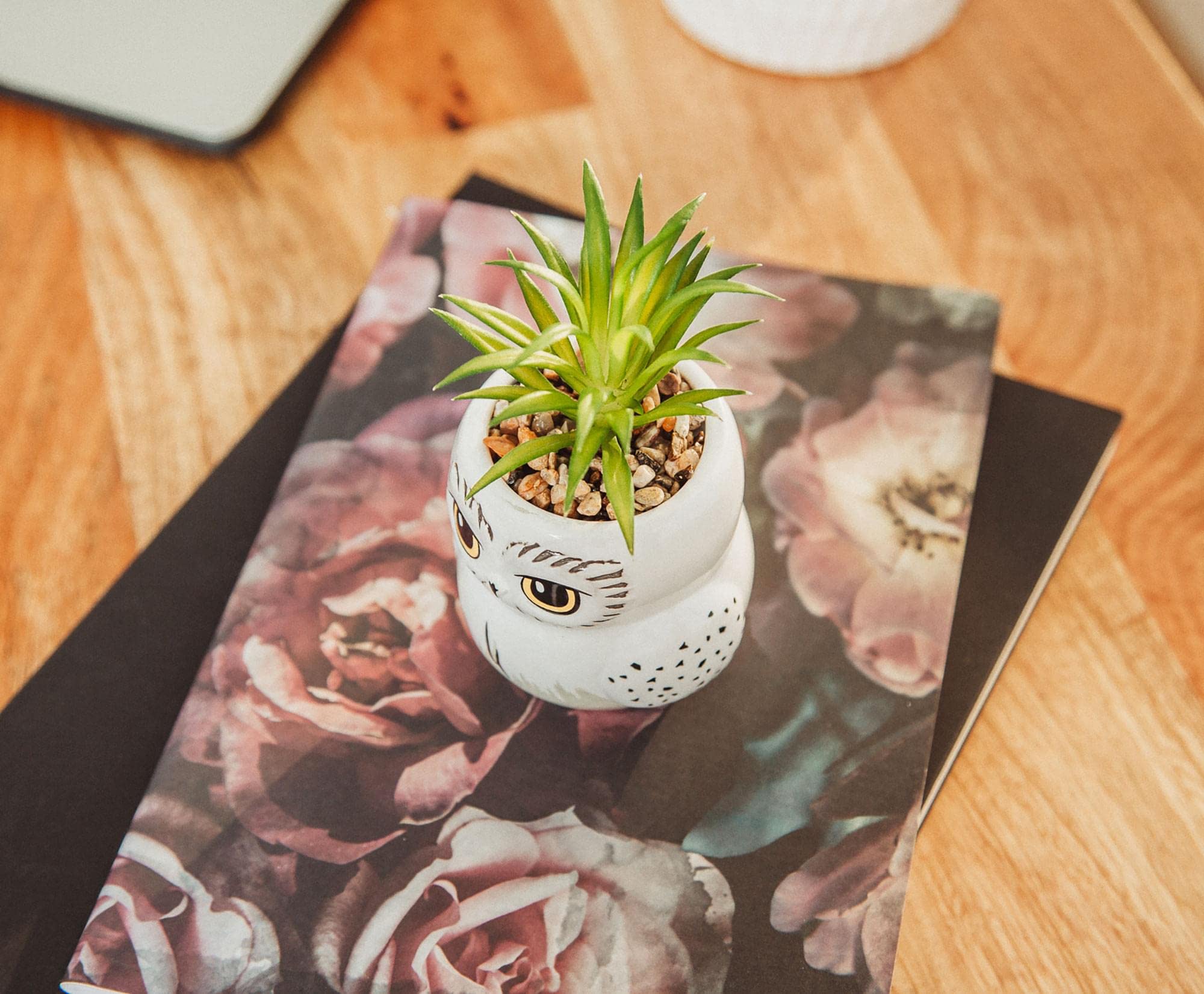 Silver Buffalo Hedwig planter next to ruler, demonstrates compact three-inch size