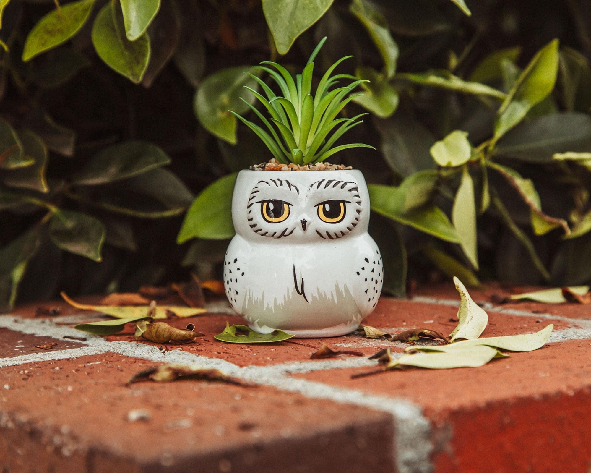 Silver Buffalo Hedwig planter used as trinket tray with rings, keeps small items organized