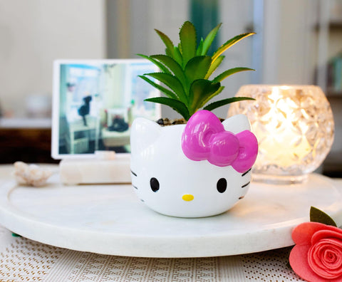 Silver Buffalo Hello Kitty faux succulent top view showing lifelike look