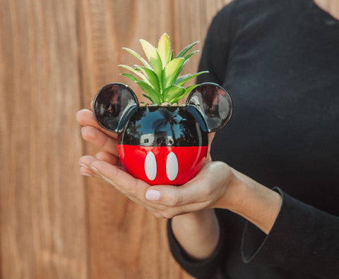 Silver Buffalo detail of faux succulent offering maintenance-free greenery