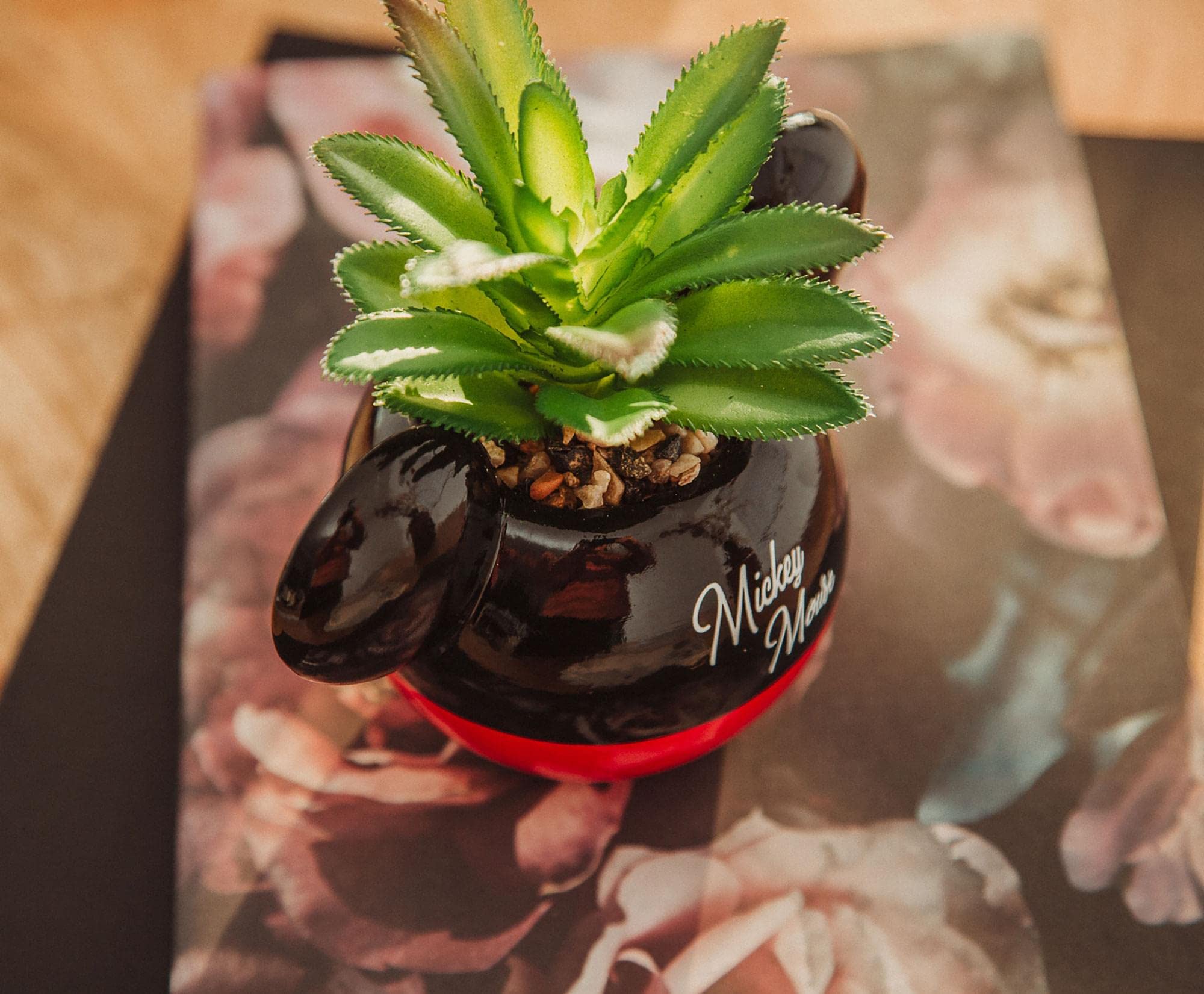 Silver Buffalo planter styled on desk adding playful workspace appeal