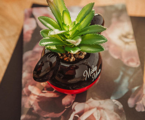 Silver Buffalo planter styled on desk adding playful workspace appeal