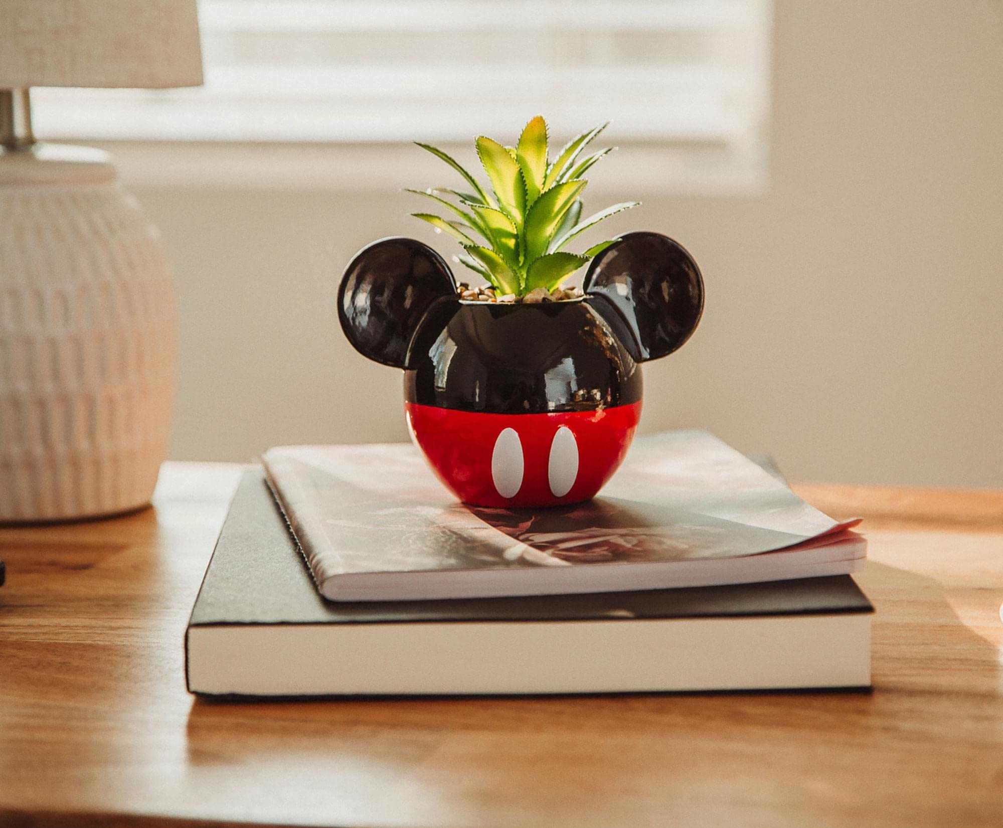 Silver Buffalo planter next to notebook showing compact 3-inch scale
