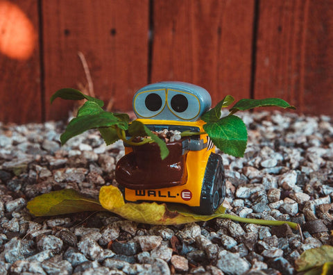 Silver Buffalo WALL-E packaging label showing official Disney Pixar collectible authenticity