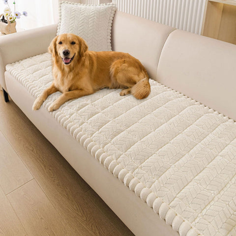 Smiry front view on sofa showing full coverage and neat finish