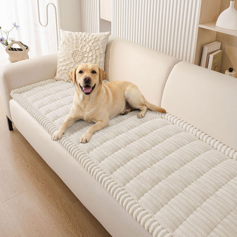 Smiry front view showing protector on sofa and clear furniture coverage benefit