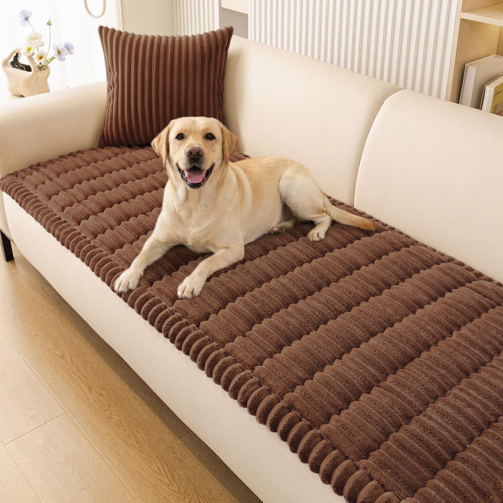 Smiry front packaging view showing protector and pet-ready look