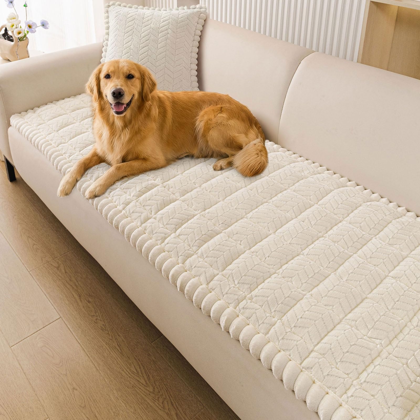 Smiry front view of cover on sofa shows protection and style
