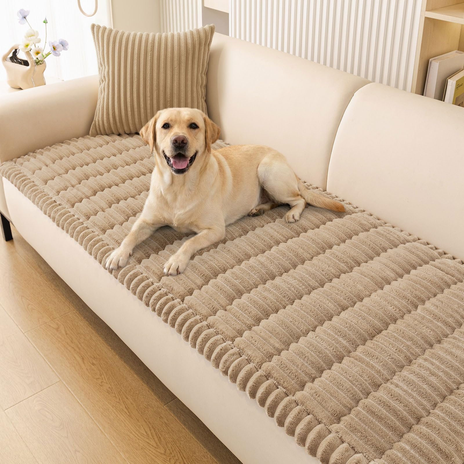 Smiry front view on sofa showing full coverage and clean look
