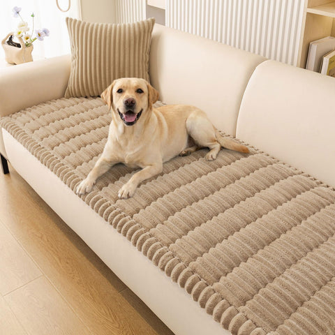 Smiry front view on sofa showing full coverage and clean look