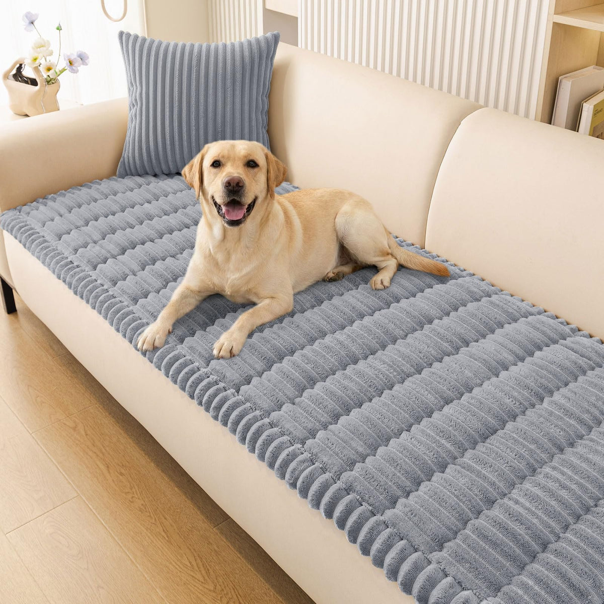 Smiry front view on sofa showing full coverage and neat protection
