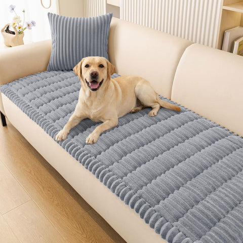 Smiry front view on sofa showing full coverage and neat protection