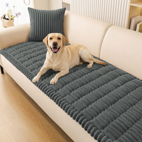 Smiry front view on sofa showing neat protection and easy style