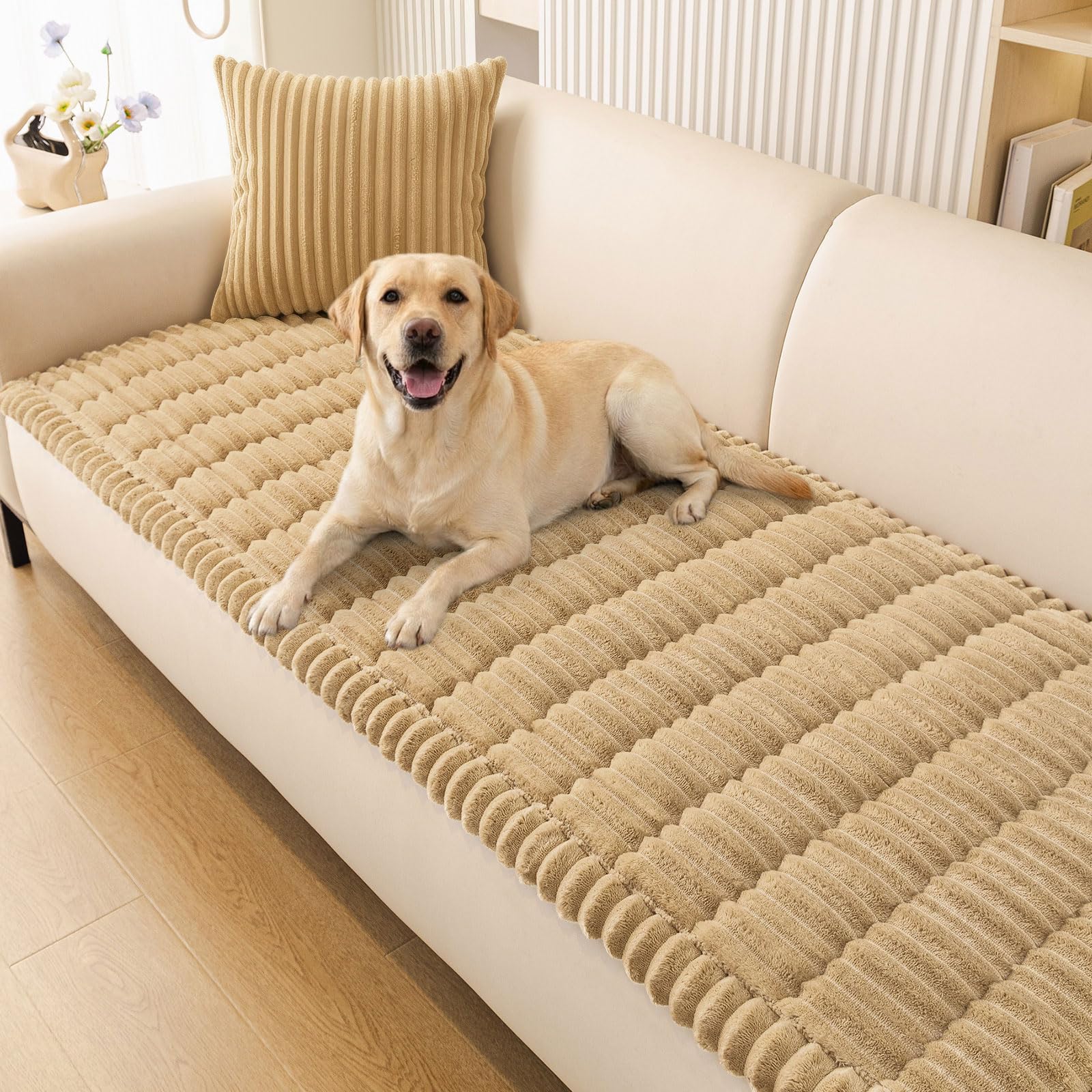 Smiry front view showing full sofa coverage and neat protection
